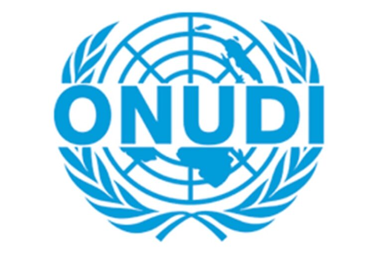 ONUDI - L’Organisation des Nations Unies pour le Développement Industriel recrute (12 Mars 2025)