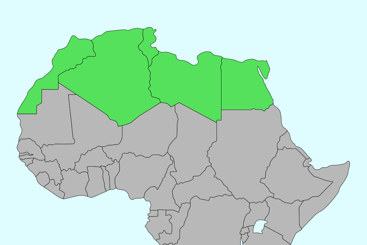 Afrique du Nord Ce pays d’Afrique du Nord renforce ses liens économiques avec le Japon