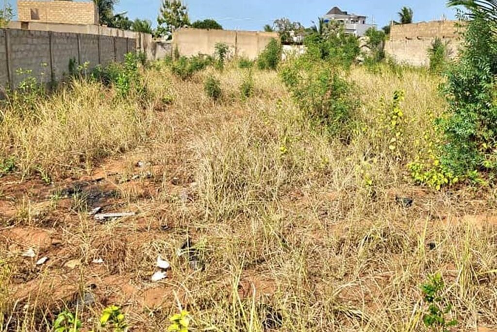 Pour en finir avec les problèmes fonciers en Côte d’Ivoire, le gouvernement décide de…