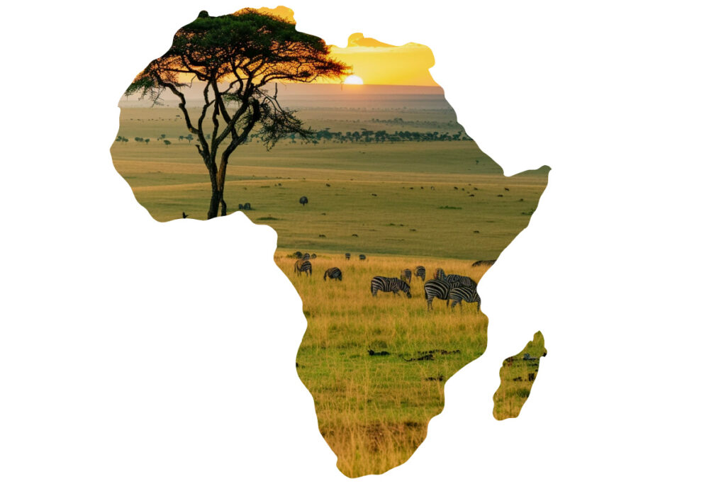 chemin de fer Afrique 253 000 milliards
