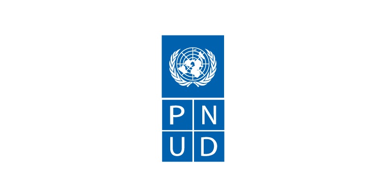 Afrique du Nord : le PNUD recrute un Chargé de projet (05 mai 2025)