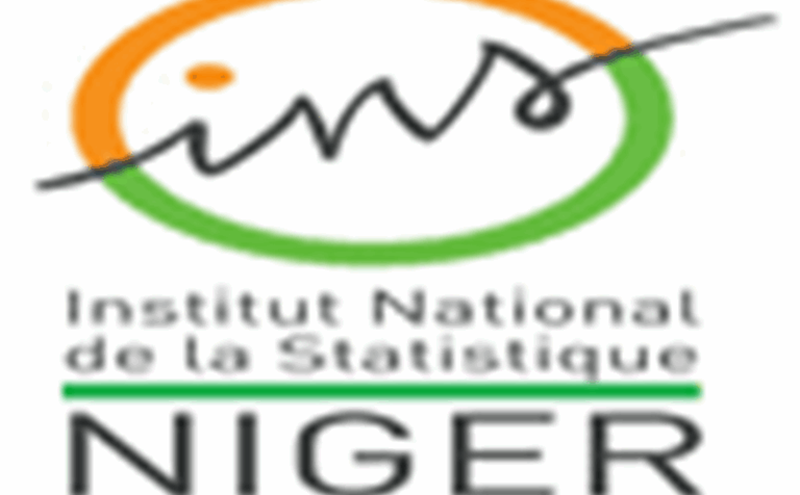 Appel à Manifestation d'intérêt de l'Institut National de la Statistique Niger pour le recrutement d'un Expert international