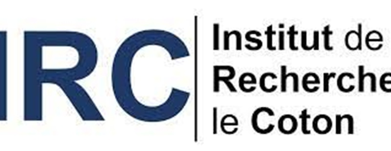 Bénin L’IRC recrute 02 Techniciens de terrain (12 Mai 2025)