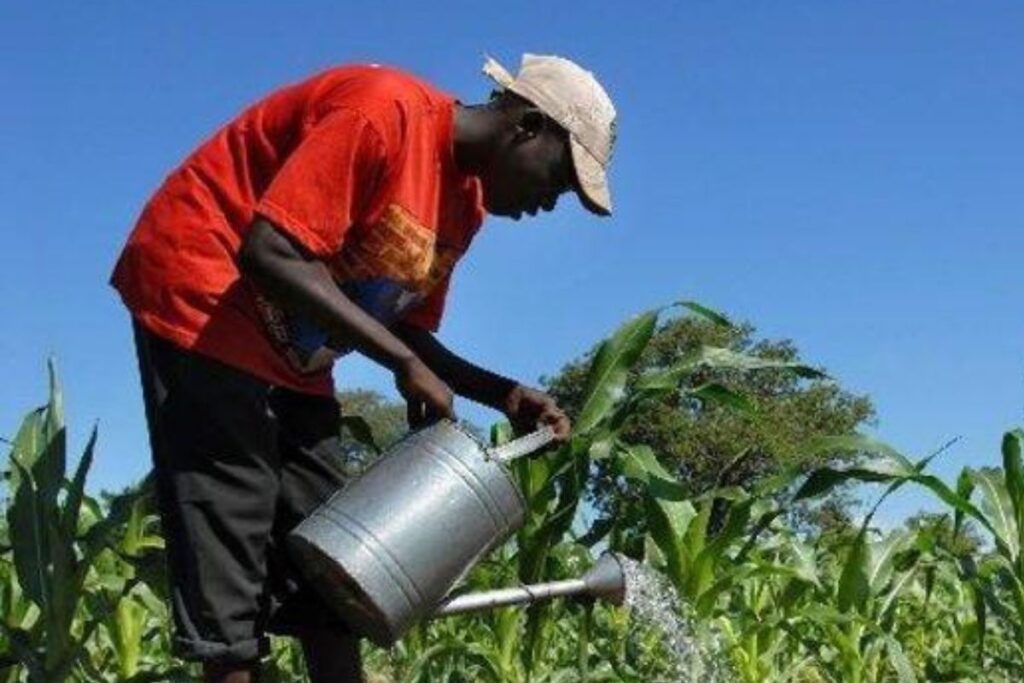 agriculteur africain
