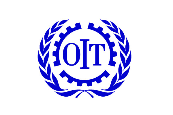 Le Bureau Internationale du Travail (BIT) recrute pour ce poste (06 mai 2025)