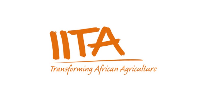 Poste vacant à l’IITA – Institut international d’agriculture tropicale (12 mai 2025)