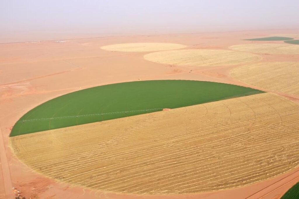 Ce pays d'Afrique du Nord réalise l'impossible grâce à la Chine ; il cultive dans le désert des ..