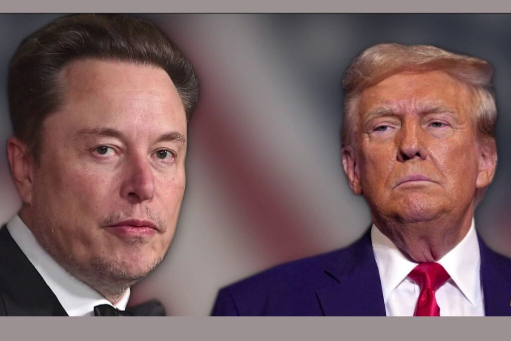 Donald Trump Elon Musk