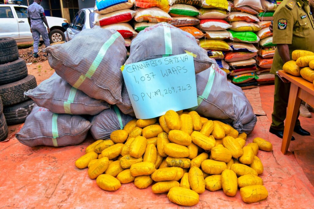 Les douanes de ce pays d'Afrique de l'Ouest font une saisie de plus de 300 millions drogues, fusils ...
