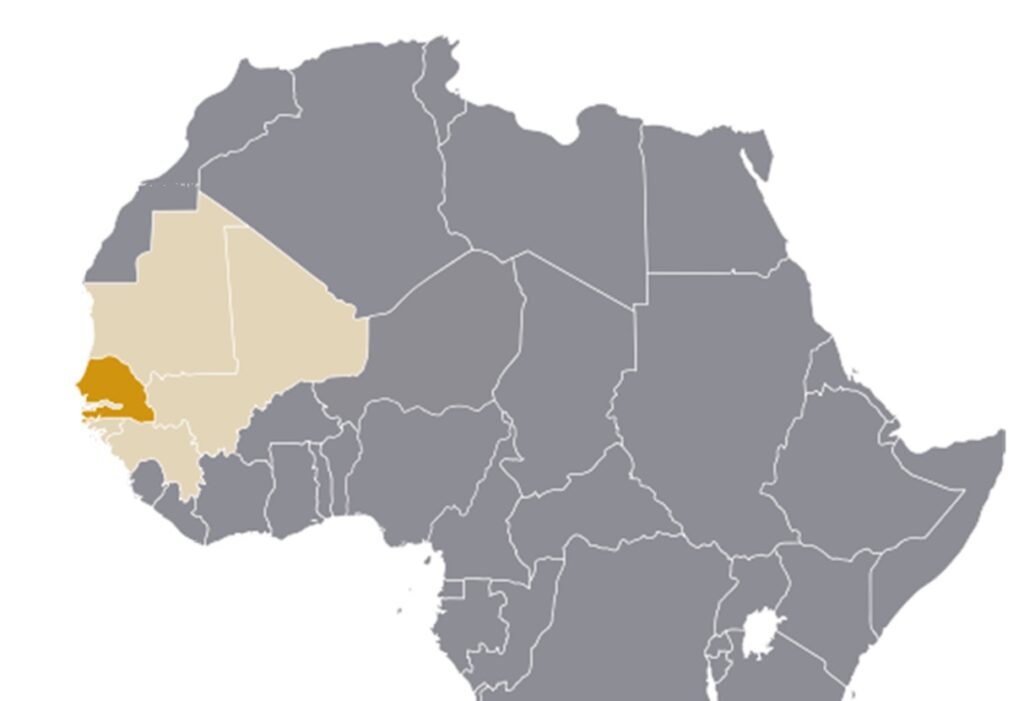 Oignons le Sénégal devient le premier pays d'Afrique à avoir ...