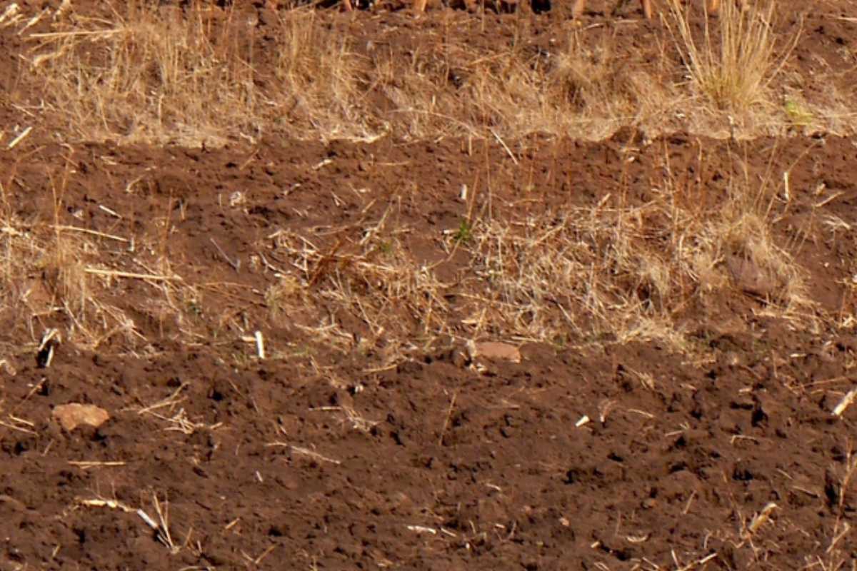 Burkina Faso hectares de terres