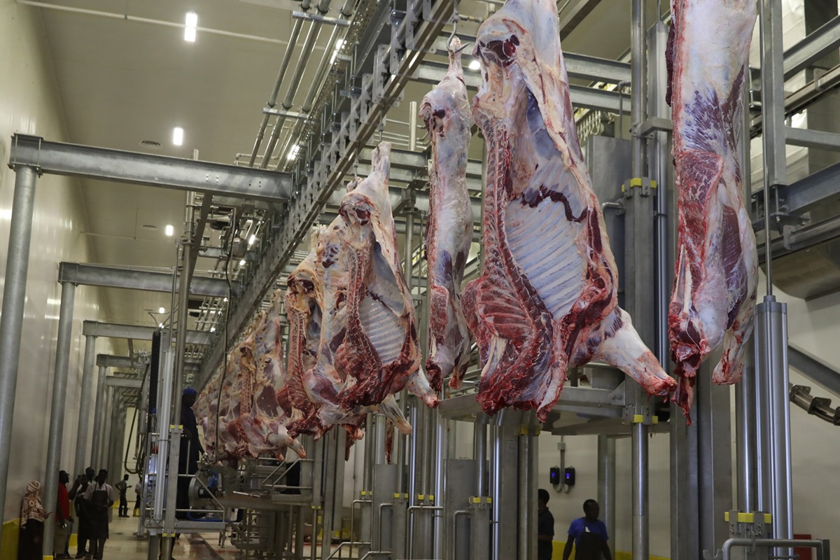 Ce pays d'Afrique du Nord débloque plus de 400 millions pour ouvrir un abattoir moderne