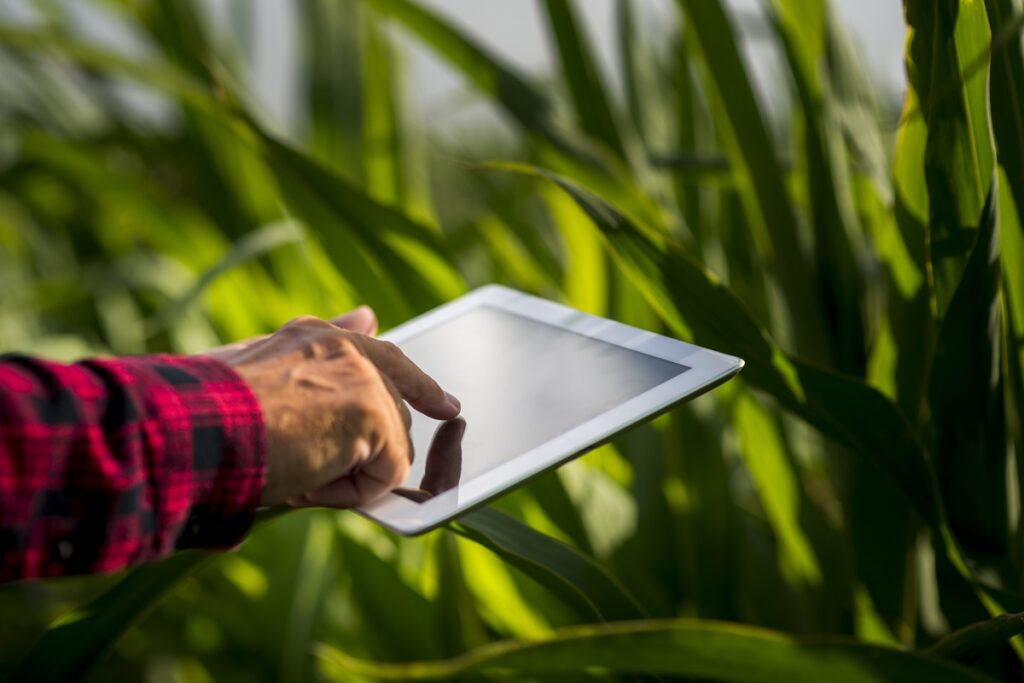 Côte d'Ivoire ces étudiants conçoivent des robots pour réinventer l’agriculture