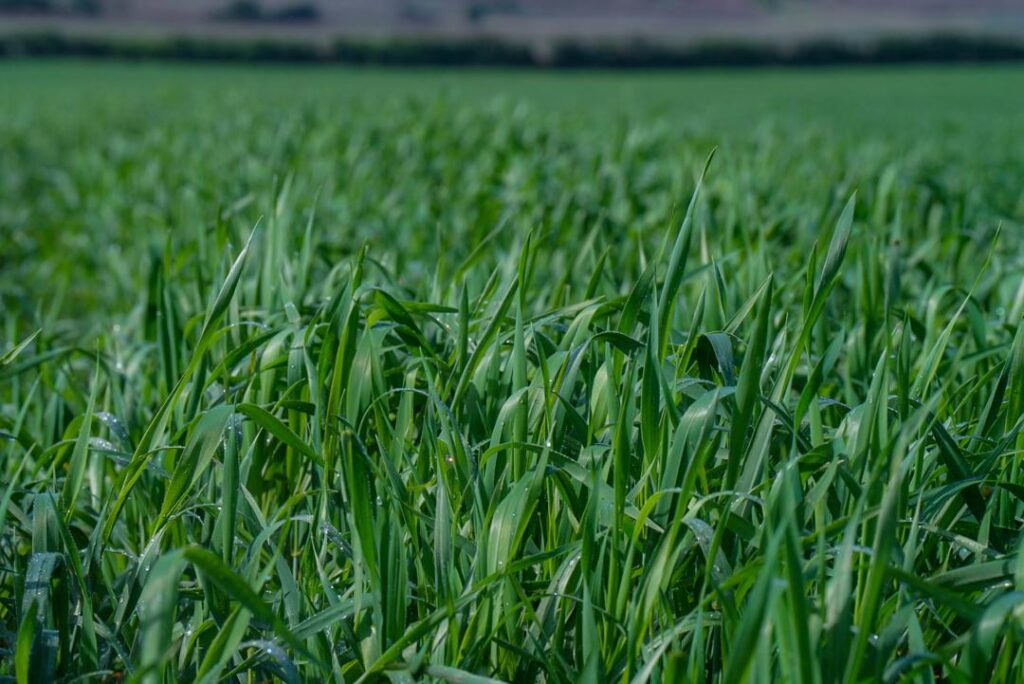 Le Brésil va aider ce pays africain à devenir l'un des plus grands producteurs agricoles au monde