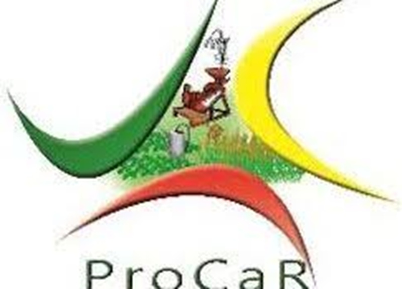 Appel à manifestation d'intérêt de ProCaR pour le recrutement d'un prestataire au profit des bénéficiaires du PRIMA-Bénin