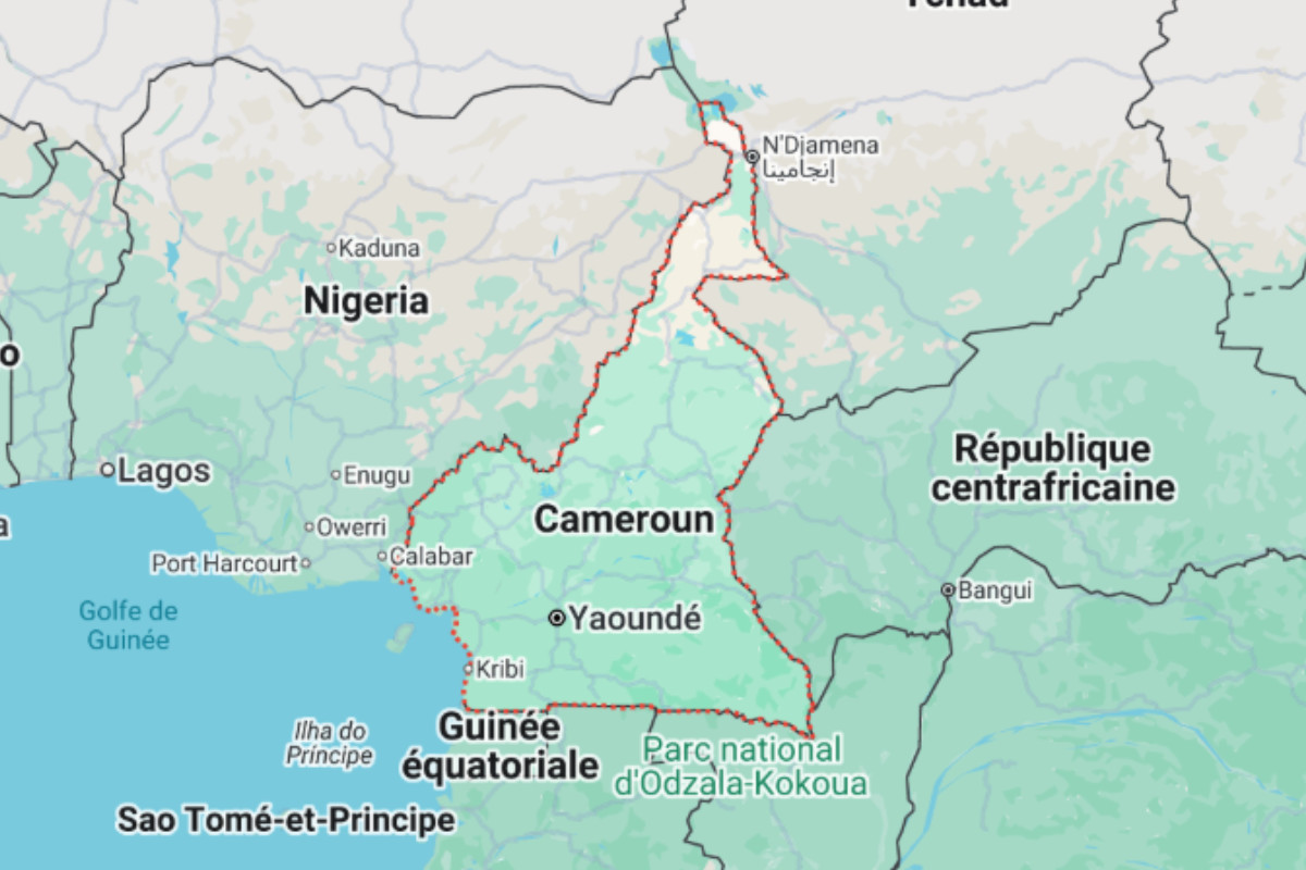 Cameroun Fitch