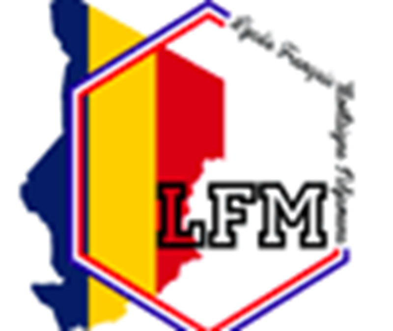 Avis de recrutement au Lycée Français Montaigne Tchad (28 Septembre 2025)