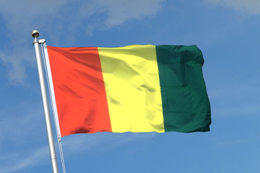 ‎Guinée élection présidentielle