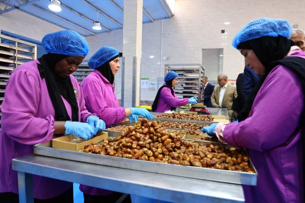 Ce pays d’Afrique du Nord renforce la production de dattes