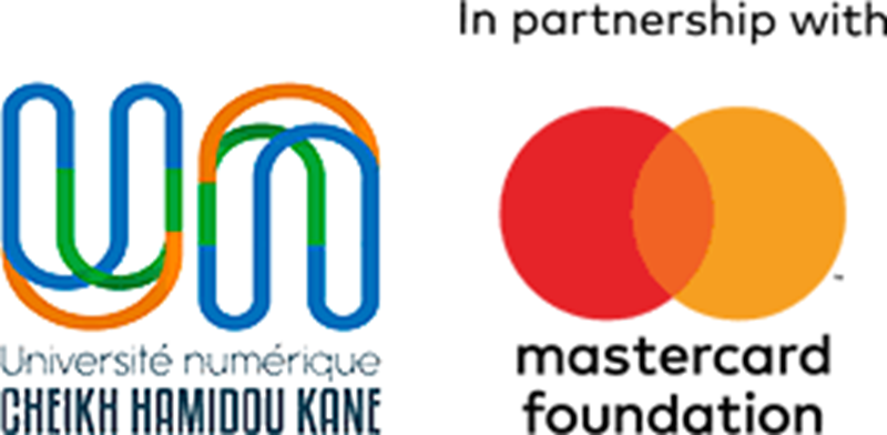 Formation gratuite en ligne aux métiers en UX-UI, Cybersécurité et ingénierie logicielle du programme FORCE-N Sénégal avec Mastercard Foundation