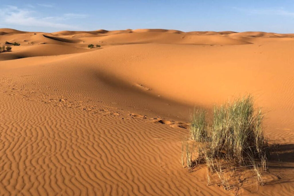 ONU Maroc Sahara occidental