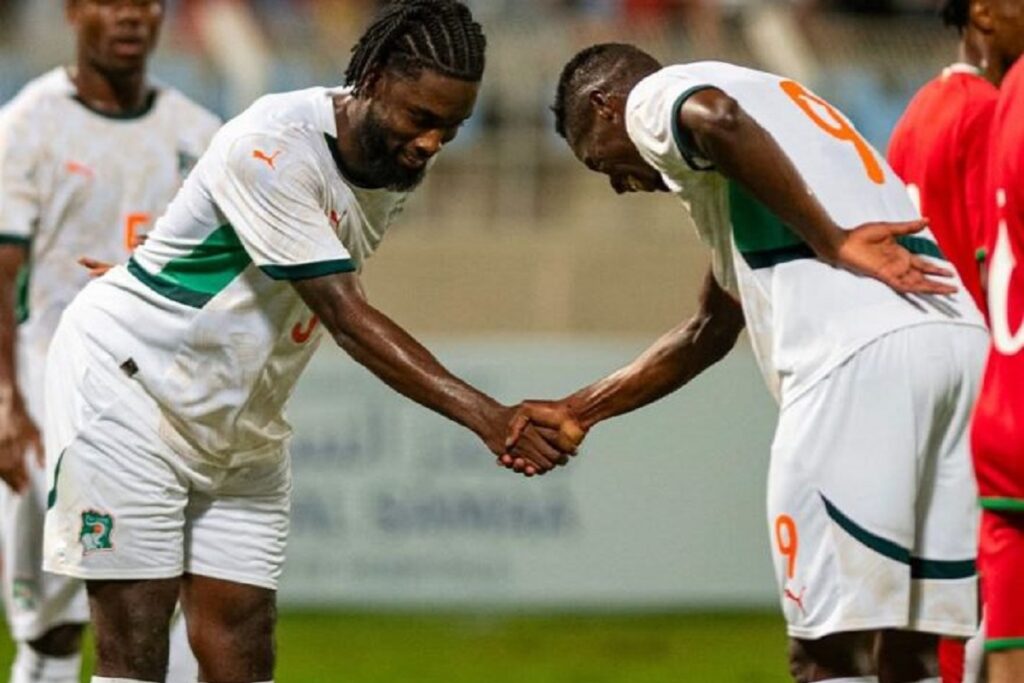 Côte d'Ivoire Éléphants