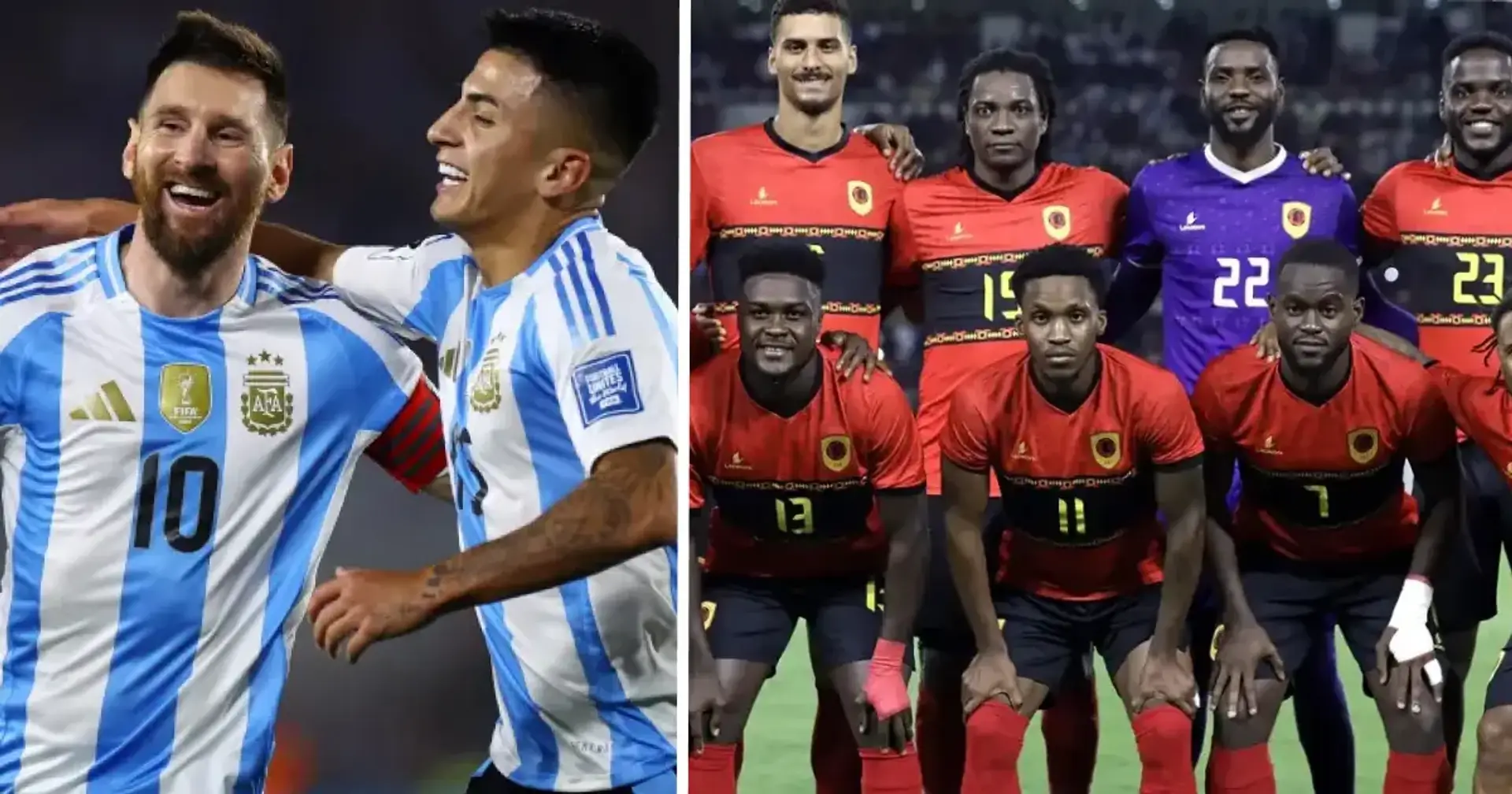 Argentine Angola