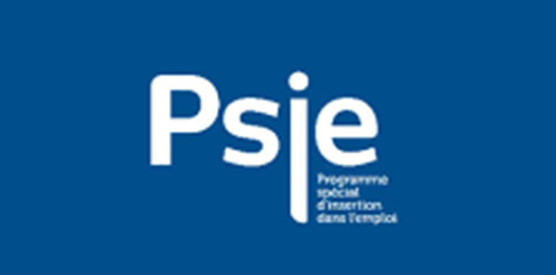 Recrutement de 8 Assistants de niveau BAC au PSIE (23 Novembre 2025)/Salaire : 100.000F