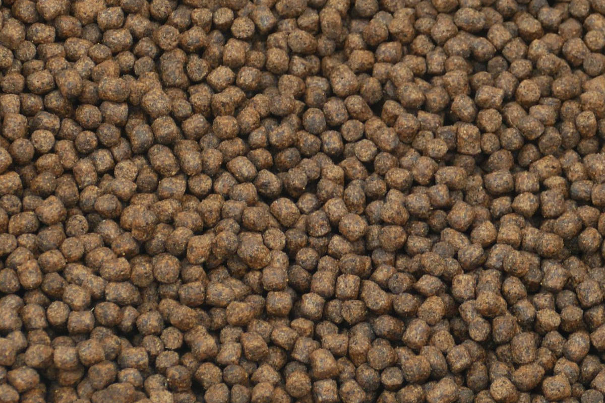 Togo provende
