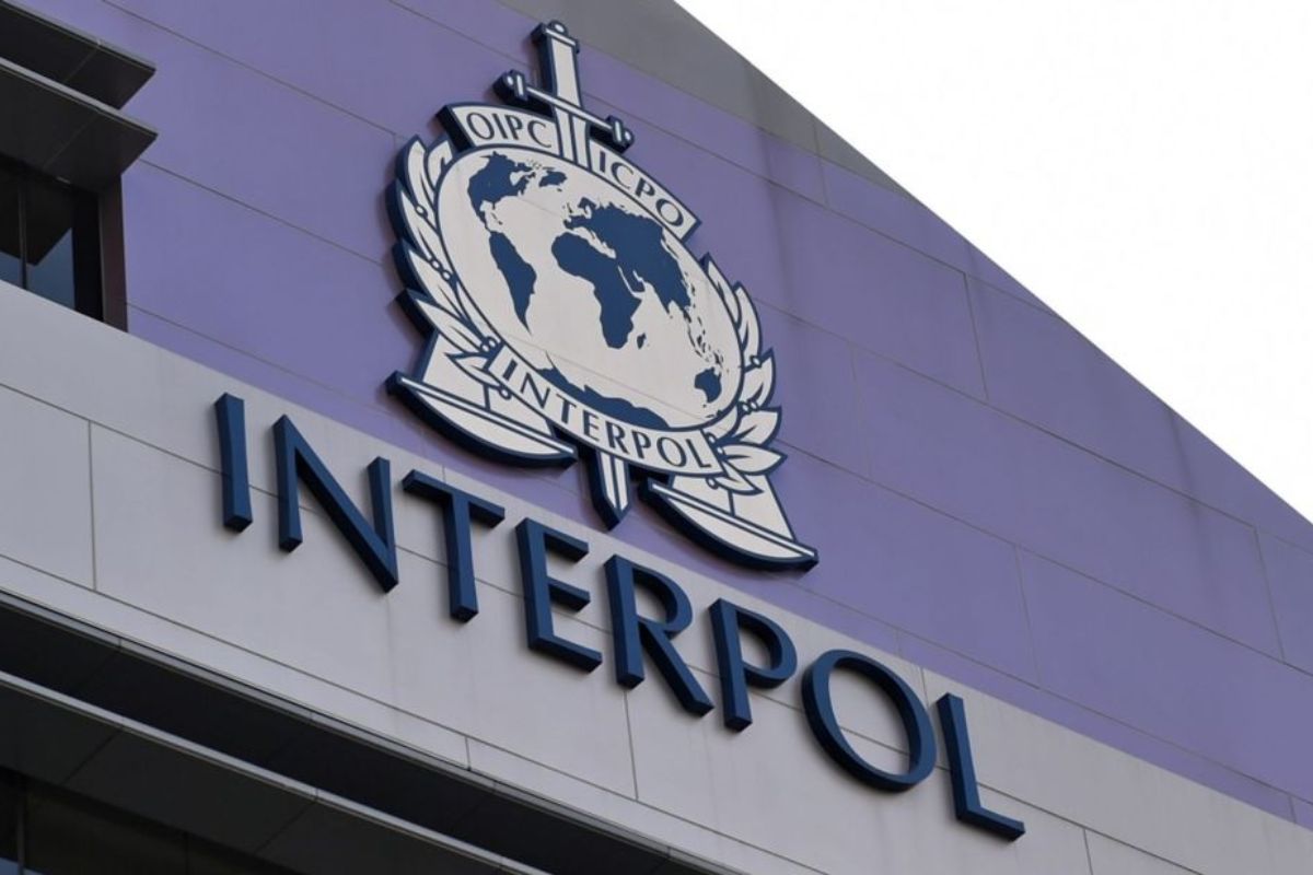 La cyberfraude, en nette hausse, s'étend géographiquement, alerte Interpol