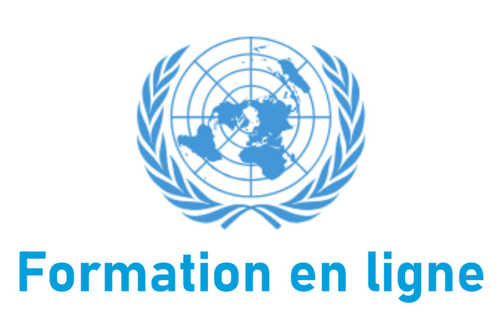 Formation en ligne à l'ONU participez gratuitement