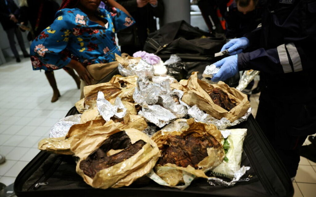 Le trafic d'animaux vivants a atteint de nouveaux records, selon Interpol