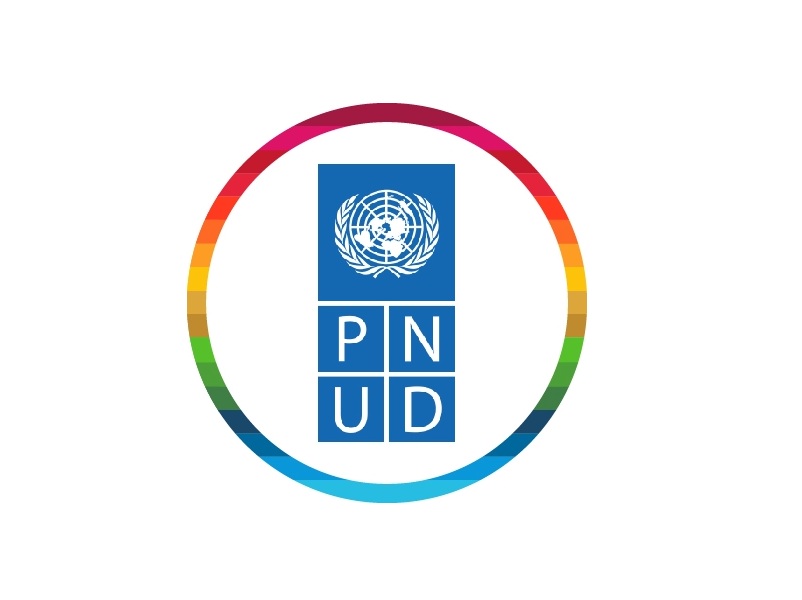 Nouveaux appels d’offres au PNUD (30 décembre 2025)