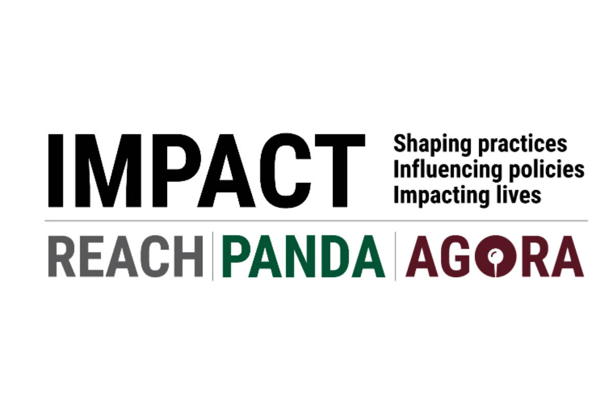 Offre d'emploi à l'ONG Impact Initiatives (15 décembre 2025)
