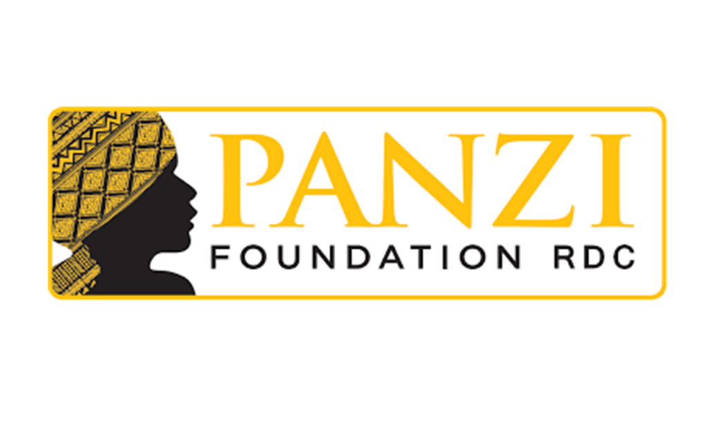 Programme d’Ambassadeur de la jeunesse Panzi ; appel à candidature 2026