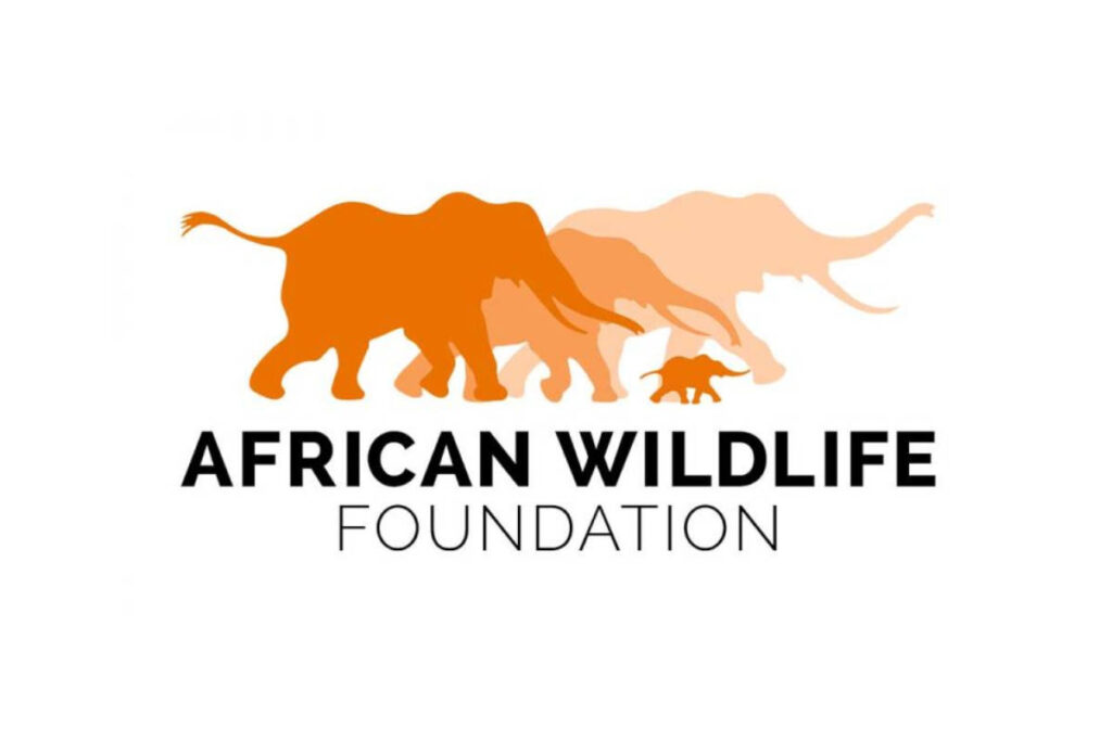 Recrutement à l'African Wildlife Fondation (AWF) postulez (30 décembre 2025)