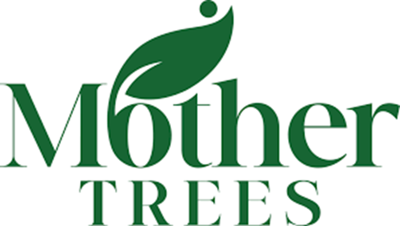 Recrutement à l'ONG internationale Mother Trees (29 Décembre 2025)
