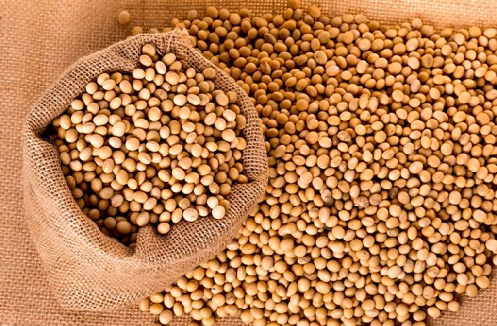 Togo Plateaux fin des taxes abusives sur le transport des denrées agricoles