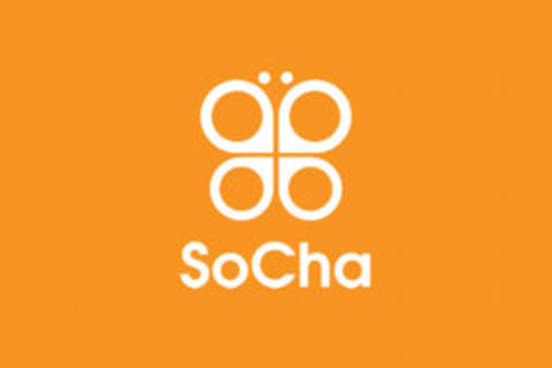 Travailler à l’ONG internationale SoCha LLC (26 Décembre 2025)