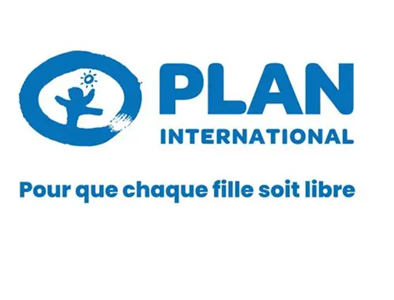 https://yop.l-frii.com/apo/avis-dappel-doffres-de-plan-international-21-janvier-2026/