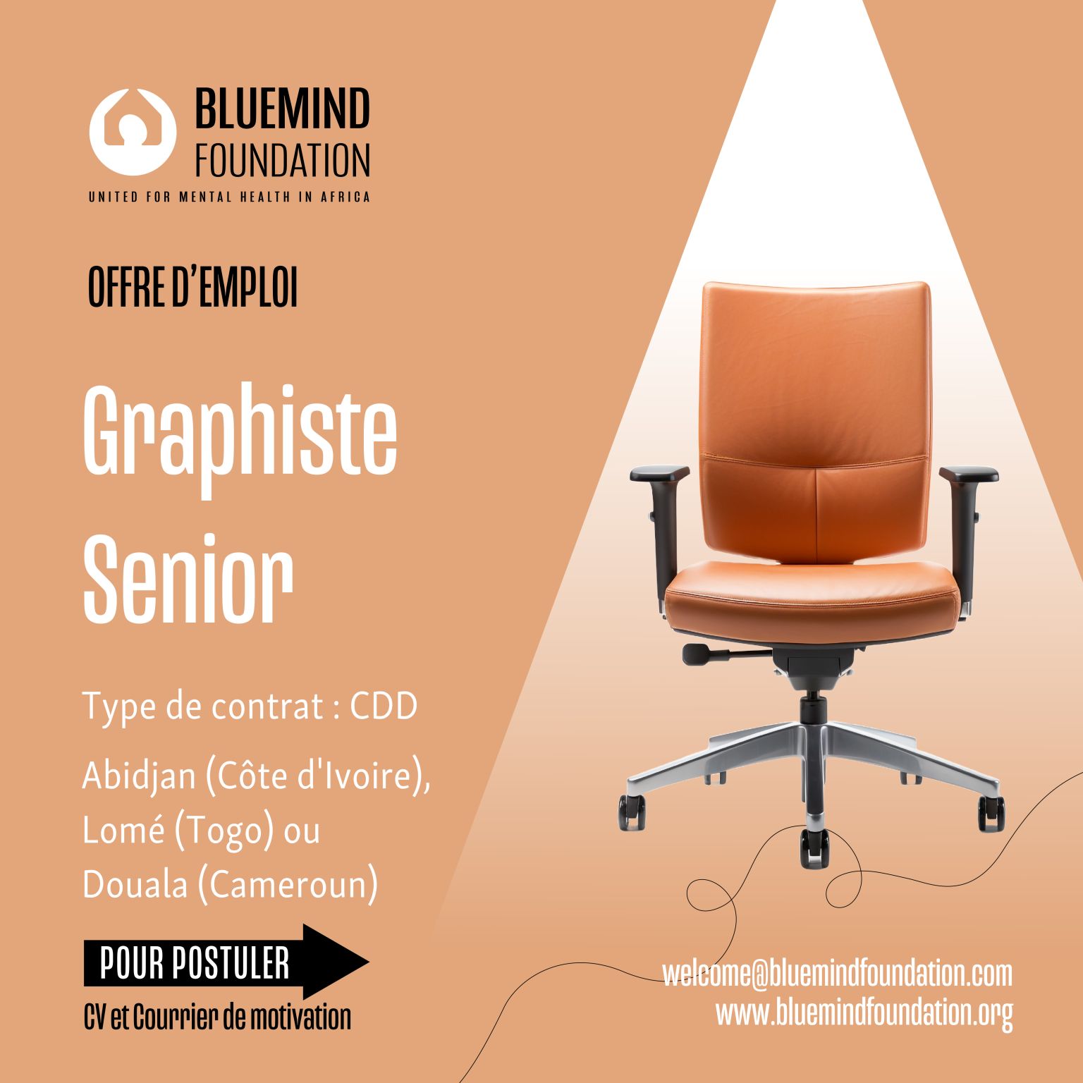 Emploi à Lomé. Bluemind Foundation recrute pour ce poste (25 janvier 2026)