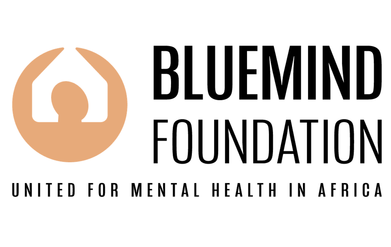 Emploi à Lomé. Bluemind Foundation recrute pour ce poste (25 janvier 2026)