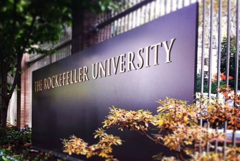 États-Unis programme de bourses Chemers Neustein 2026 de l’Université Rockefeller ; ouvert à tous