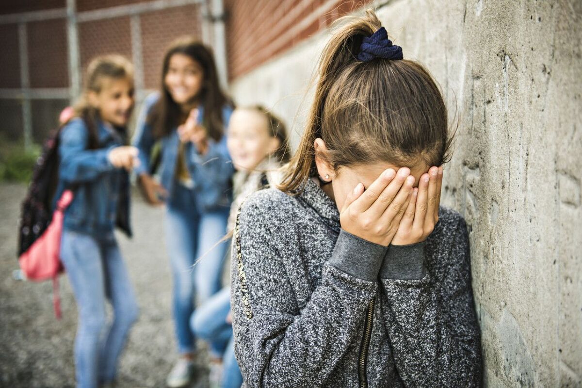 Harcèlement scolaire : la famille de la lycéenne qui s'est suicidée porte plainte
