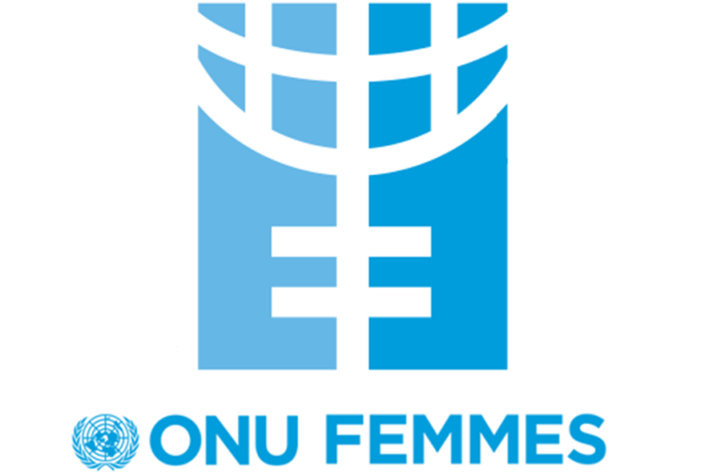POSTE A POURVOIR A ONU FEMMES ( 29 janvier 2026)
