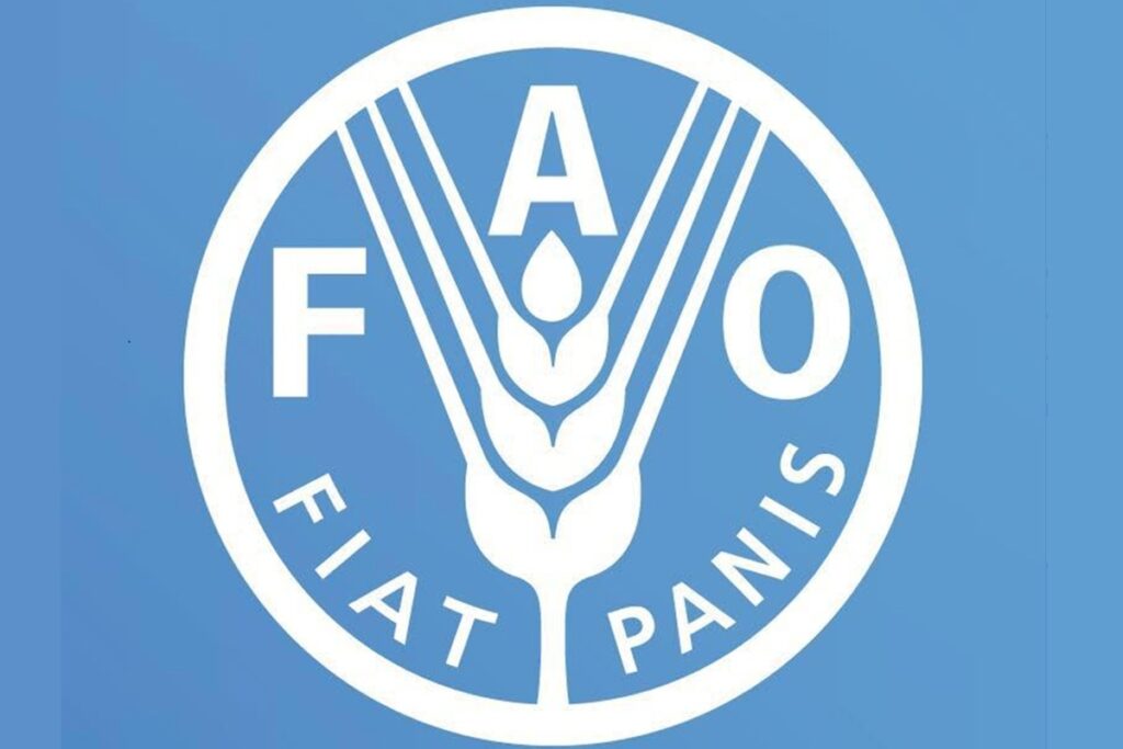 Programme de stages de la FAO pour l’Afrique du Nord candidatez