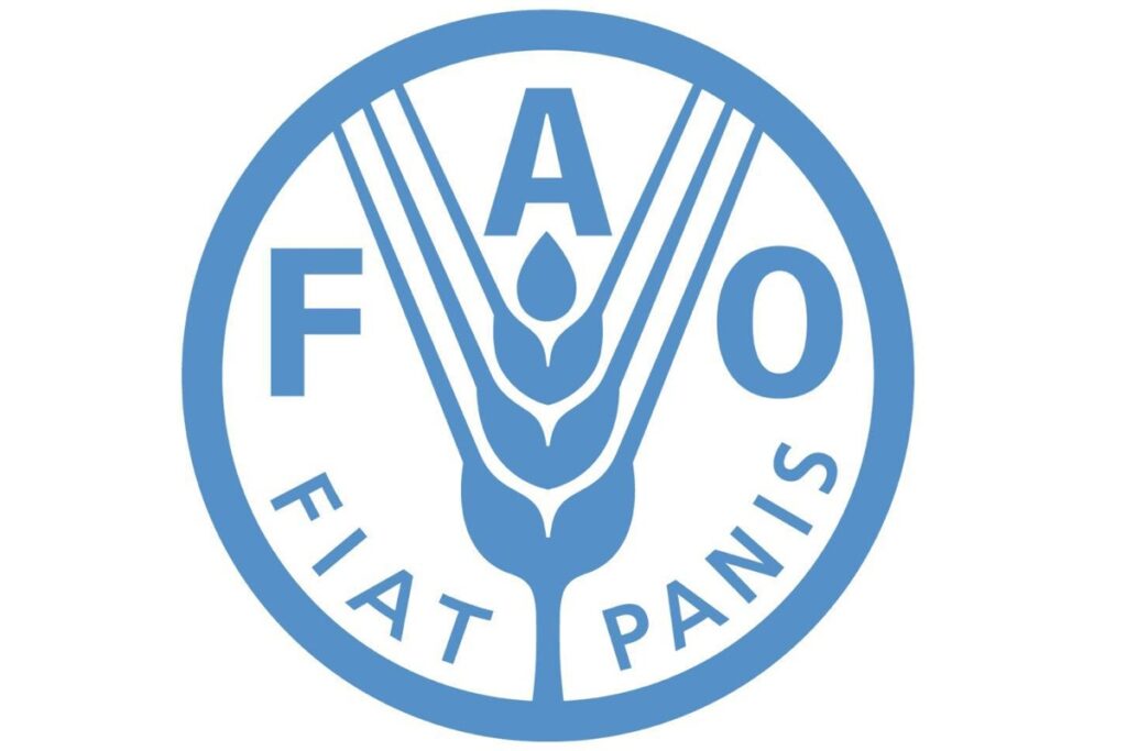 Programme de volontaires de la FAO pour l'Afrique du Nord (RNE) postulez
