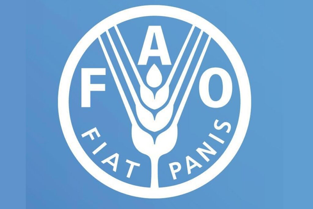 Recrutement en cours à la FAO (21 janvier 2026)