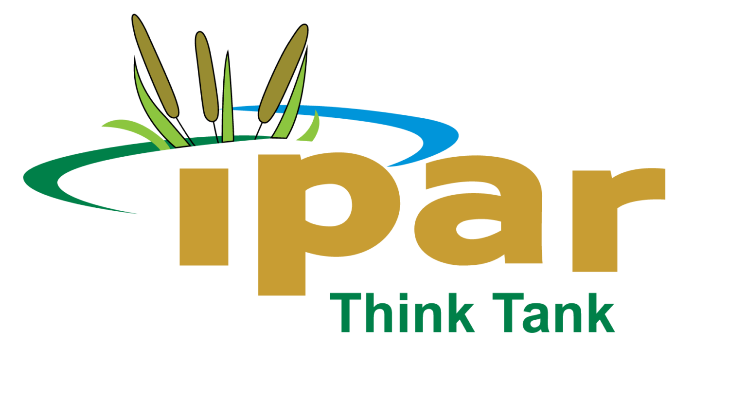 Sénégal Ipar Think Tank recrute un·e Directeur·trice