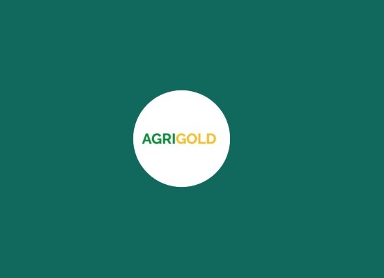 AGRIGOLD Togo recrute pour ce poste (01 février 2026)